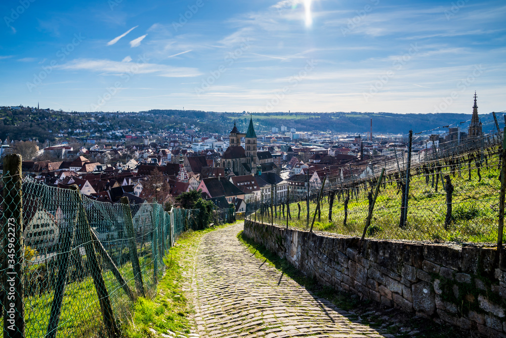 Germany, Beautiful cobblestone path through vineyards of medieval city esslingen am neckar with panoramic view above the skyline and church