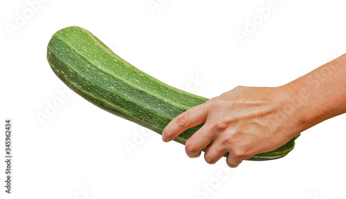Photos Fresh green zucchini in a female hand