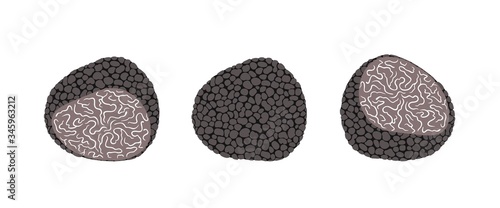 Truffle set. Isolated truffle on white background