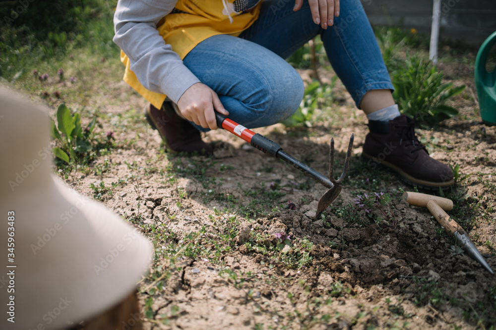 Cropped woman digging the soil using fork and mattock Cropped woman digging the soil using fork and mattock