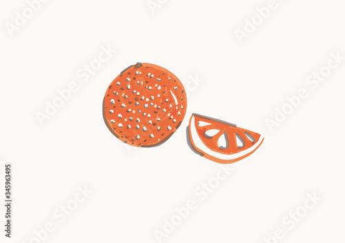 Watercolor oranges isolated on white bacground.