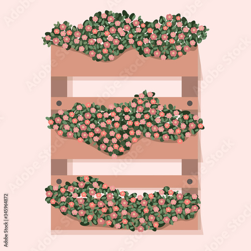 Garden decorative wooden case flower. Beautiful spring and summer plants, herbs and flowers. Vector flat cartoon illustration. Floriculture, gardening.