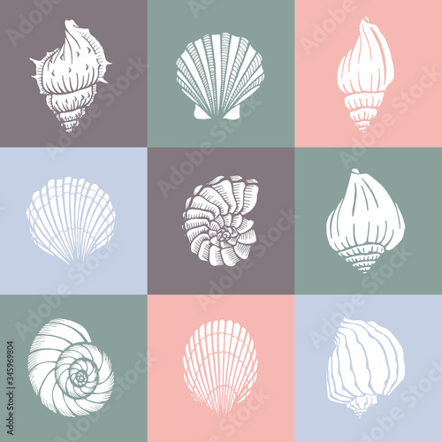 Seamless pattern with seashells. Marine background.  Perfect for greetings, invitations, manufacture wrapping paper, textile and web design.