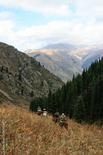 Four riders on horseback descend from the mountains, overgrown with forest