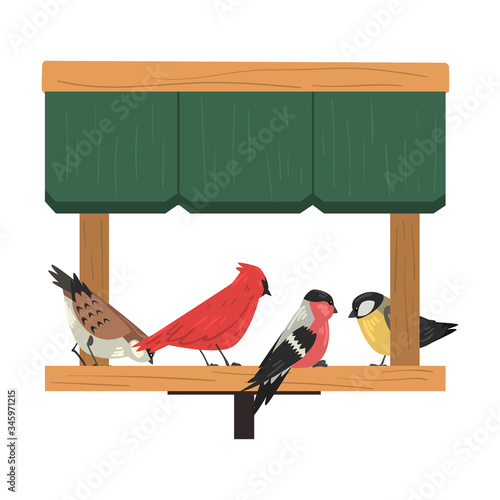 Winter Bird Feeder, Northern Birds Feeding by Seeds in Wooden Feeder, Cute Red Cardinal, Chickadee, Sparrow, Bullfinch Vector Illustration