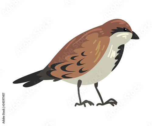 Cute Winter Bird, Beautiful Northern Birdie, Side, View Vector Illustration