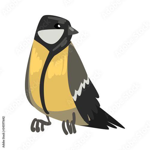 Cute Titmouse Bird, Beautiful Northern Birdie, Front View Vector Illustration