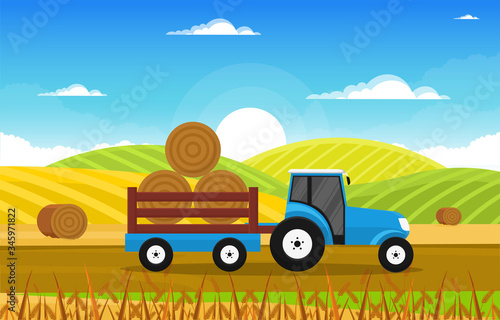 Agriculture Wheat Field Farm Rural Nature Scene Landscape Illustration