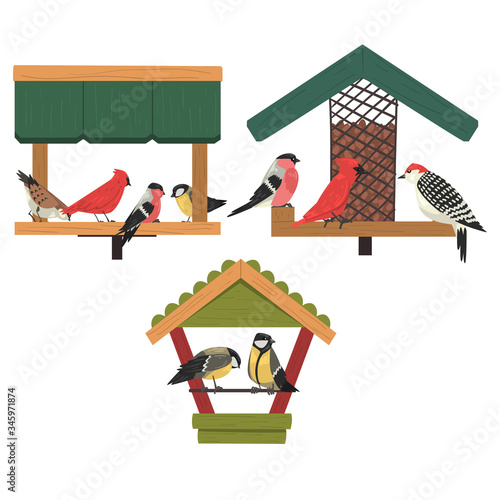 Winter Bird Feeder, Northern Birds Feeding by Seeds, Cute Red Cardinal, Chickadee, Woodpecker, Bullfinch Vector Illustration