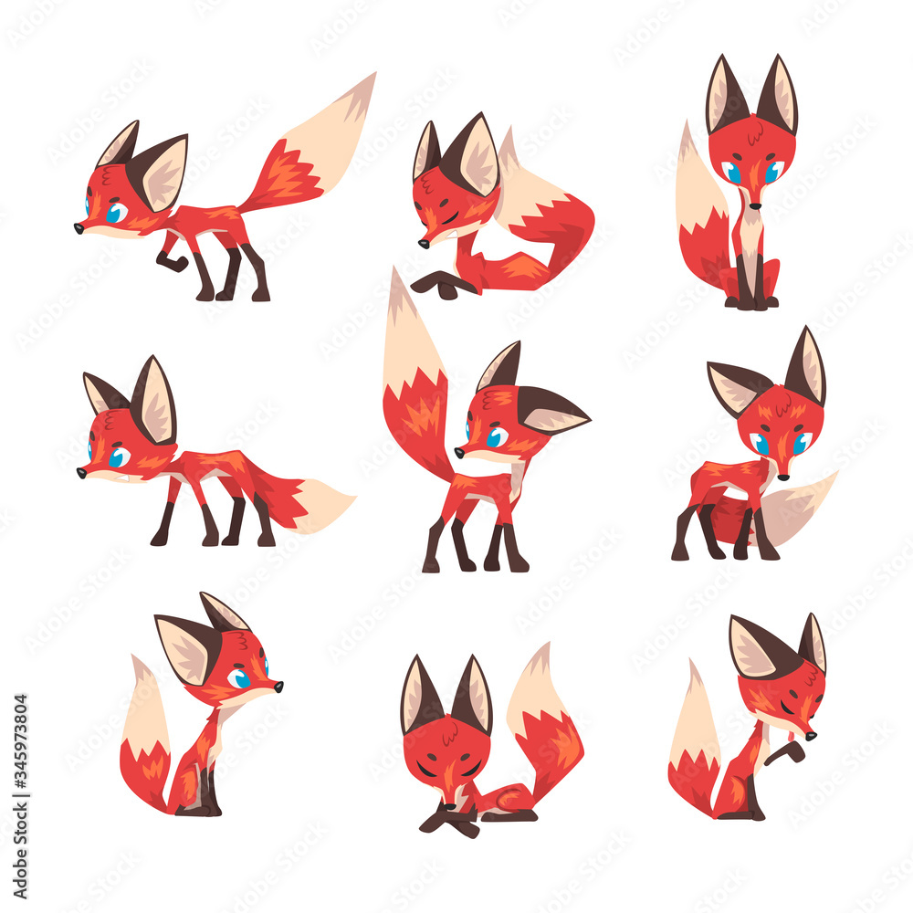 Cute Little Fox Collection, Fluffy Blue Eyed Wild Forest Animal Cartoon Character in Various Poses Vector Illustration Cute Little Fox Collection, Fluffy Blue Eyed Wild Forest Animal Cartoon Character in Various Poses Vector Illustration