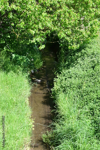 kleiner Bachlauf, Thürer Wiesem photo