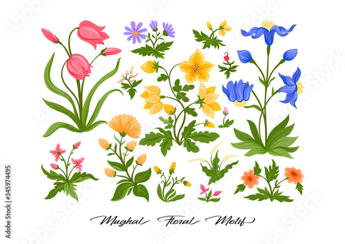 Tradition mughal motif, fantasy flowers in retro, vintage style. Pattern, background. Vector illustration. Isolated on white.