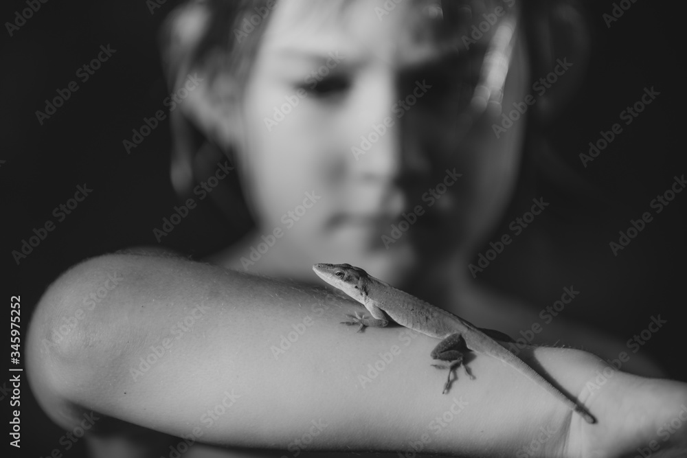 Obraz premium Boy and his lizard