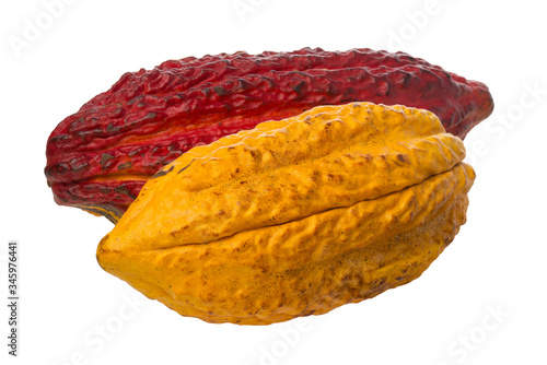 Fruto del cacao, rojo y naranja, en fondo blanco