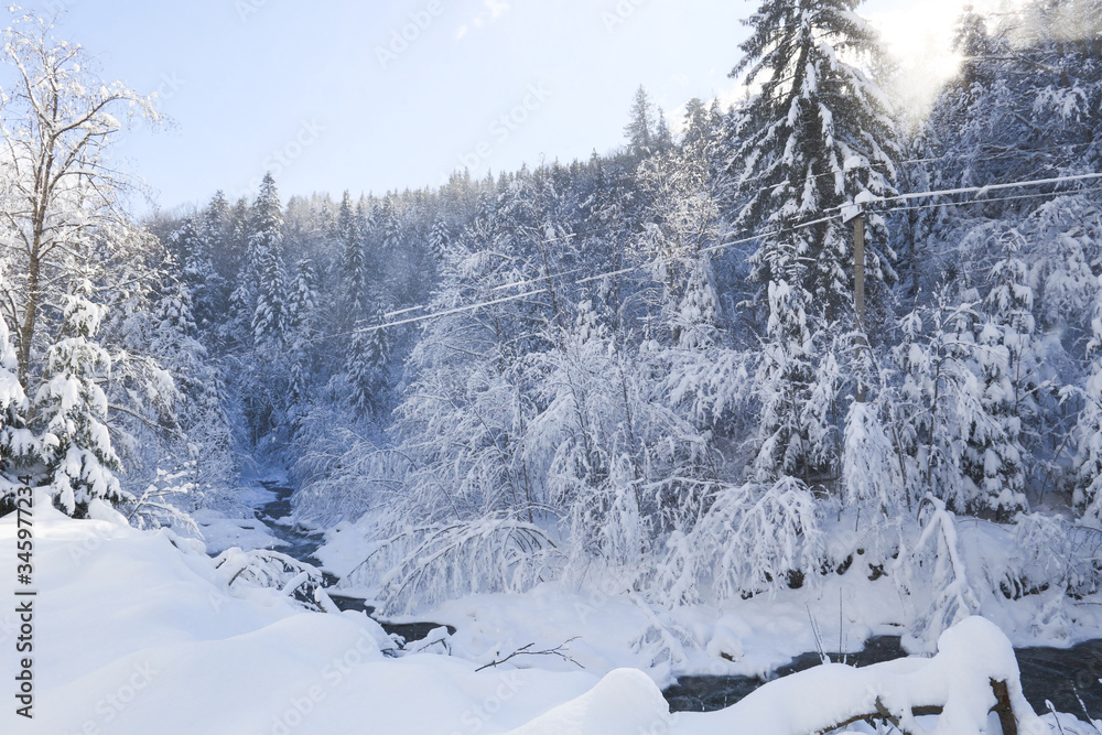 Obraz premium a beautiful snowy mountain landscape in the Carpathians, a mountain winter river