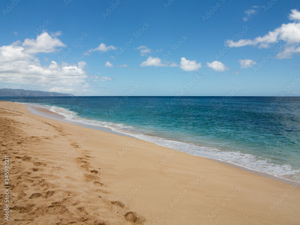Fototapeta premium hawaii shore