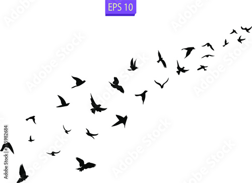 A flock of flying birds. Transparent background.	
