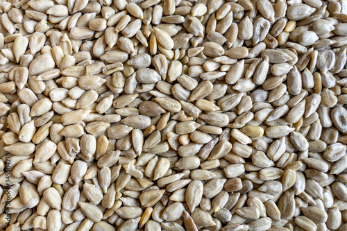 close up of sunflower seeds