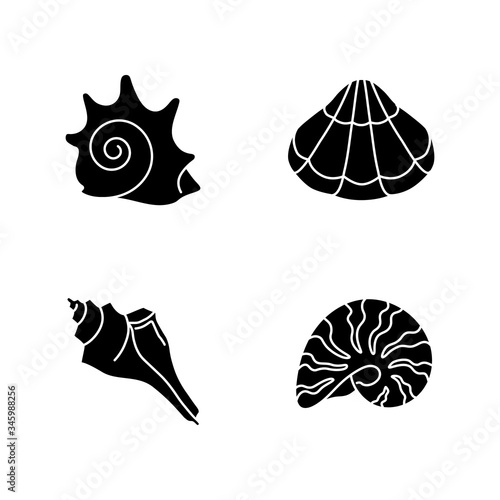 Various seashells black glyph icons set on white space. Sea shells collection hobby, conchology silhouette symbols. Rock shell, scallop, triton conch and moonshell vector isolated illustrations