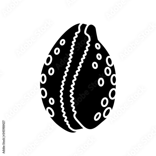 Cowrie shell black glyph icon. Decorative ocean souvenir, conchology silhouette symbol on white space. Luria cinerea. Empty molluscan animal, cephalopod shell vector isolated illustrations