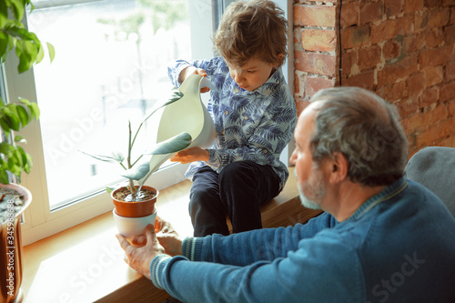 Home care. Grandfather and his grandson spending time together insulated at home. Having fun, rcaring for plants, watering. Concept of quarantine, family, love, realtions, togetherness, education. photo