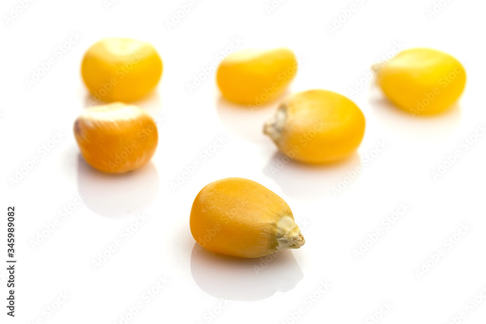 Macro kernel corn for popcorn isolated on white background. Kernel grain yellow seeds. Natural cereal food or agricultural product concept. Macro kernel corn for popcorn isolated on white background. Kernel grain yellow seeds. Natural cereal food or agricultural product concept.