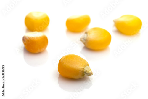 Macro kernel corn for popcorn isolated on white background. Kernel grain yellow seeds. Natural cereal food or agricultural product concept.