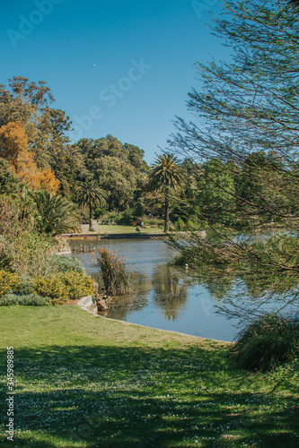 Serene lake at a garden surrounded by trees and plant.
