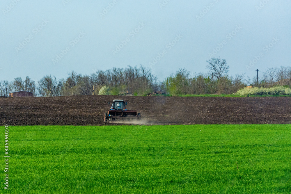 Fototapeta premium Tractor cultivates the land for spring sowing of agricultural crops
