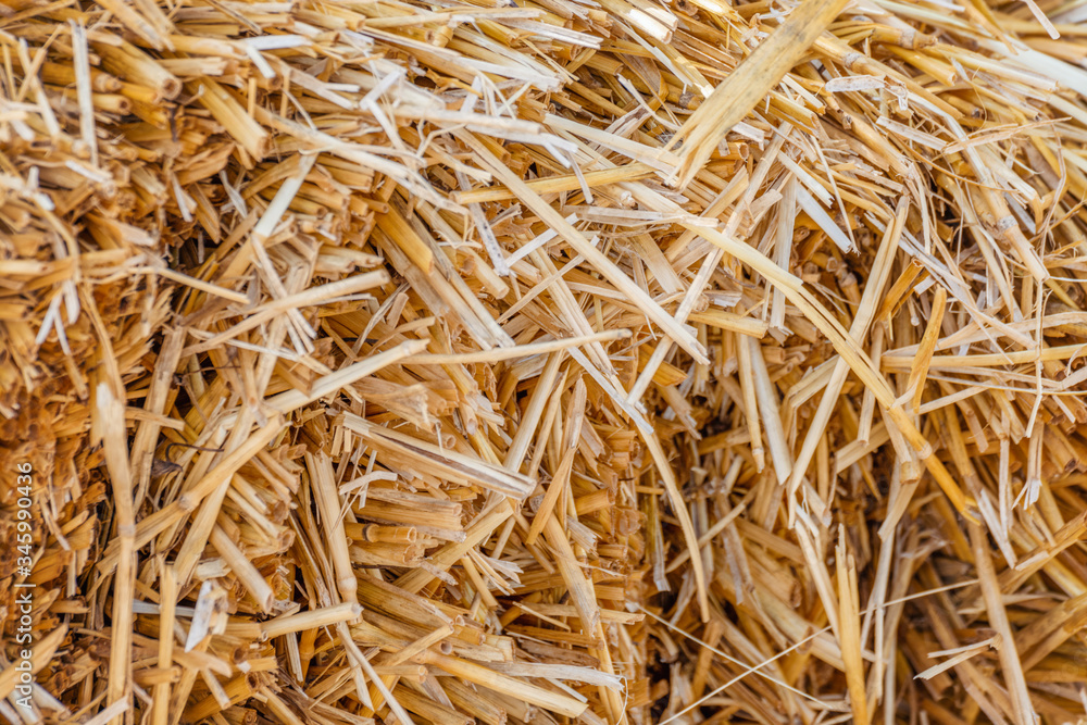 A stack of dry hay A stack of dry hay
