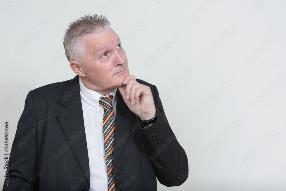 Portrait of senior businessman with gray hair Portrait of senior businessman with gray hair