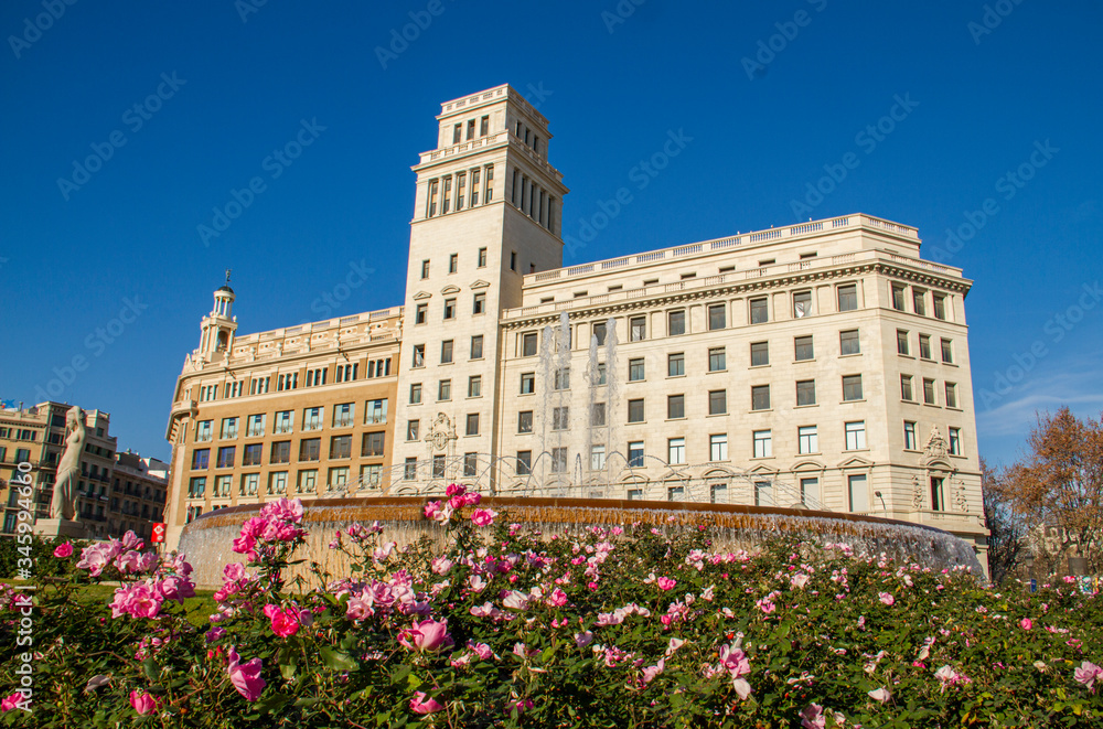 A view from Plaza Catalunya with flowers in the foreground, Spain, Barcelona, 