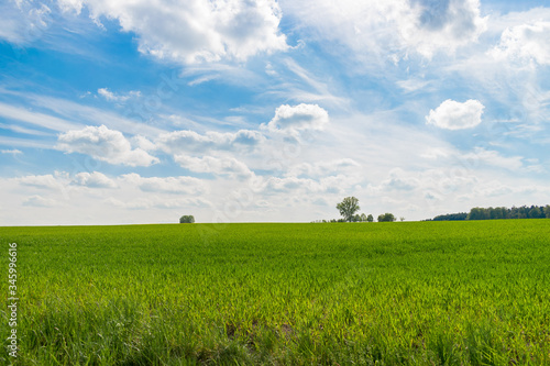Ein grünes Feld und ein blauer Himmel mit Wolken.