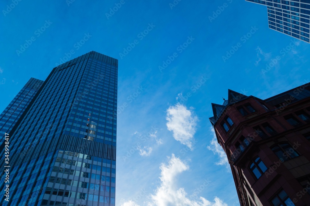 Naklejka premium In the City of Frankfurt Hesse