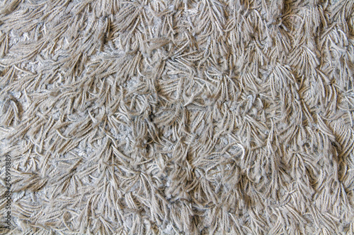 Grey carpet long hair texture