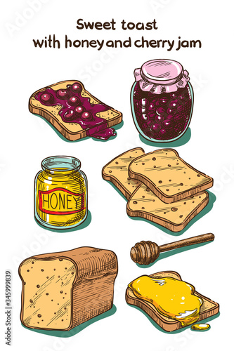 Vector color sketch Sweet toast with honey and cherry jam