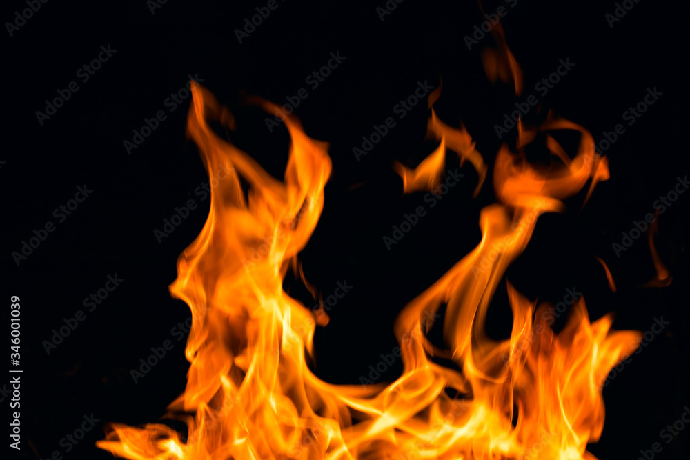 flames on a black background
flames on a black background