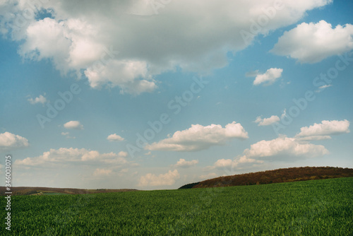sunny green field with hills white clouds