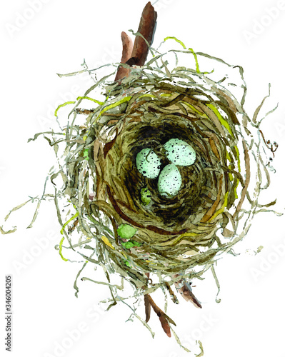 Nest with Robbin blue eggs watercolor illustration with sticks at background