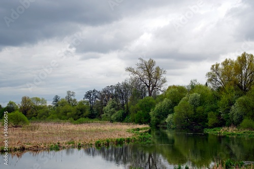 Svisloch River in the city of Minsk. Loshitsky park. Belarusian landscape. Spring. may month
