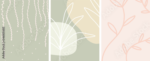 Abstract botanical art with organic shapes and a neutral color palette, vector set of 3