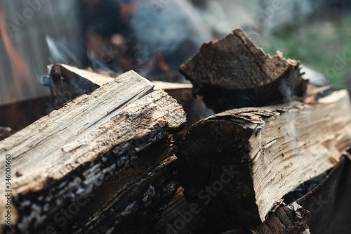 Wallpaper Mural Logs make a fire. Bonfire smoke Torontodigital.ca