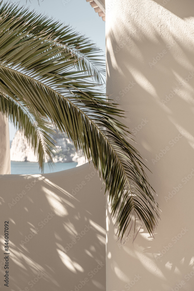 Fototapeta Palm leaf beautiful shadows on the wall. Creative, minimal, bright and airy styled concept.
