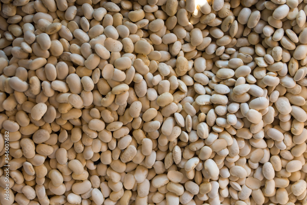 White bean Beans At A Grocery Store White bean Beans At A Grocery Store