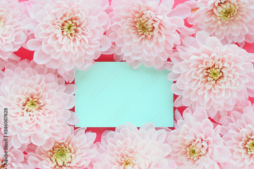 Obraz premium .Blue sticker on a pink background and pink chrysanthemum flowers. Space for text..