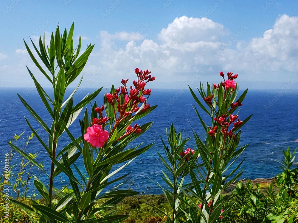 Hermosa vista del oceano desde La Finquita en Samaná Hermosa vista del oceano desde La Finquita en Samaná