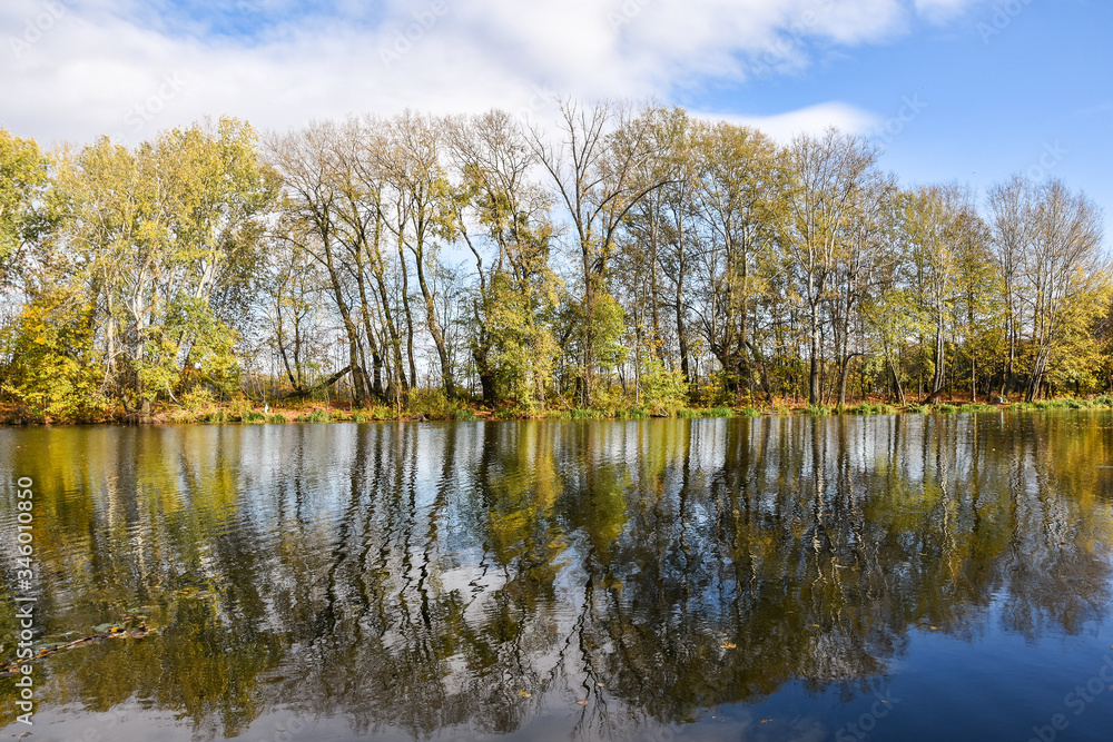 Trees reflected in the river near park at Wilanow district. Trees reflected in the river near park at Wilanow district.