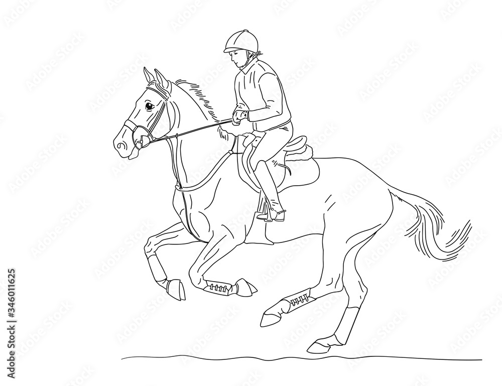 Girl rider on a horse makes a quick gallop