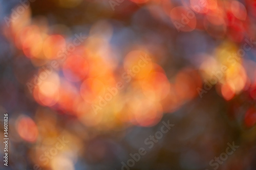 Blur autumn leaves for background, abstract bokeh backdrop for your design  © Yamagiwa
