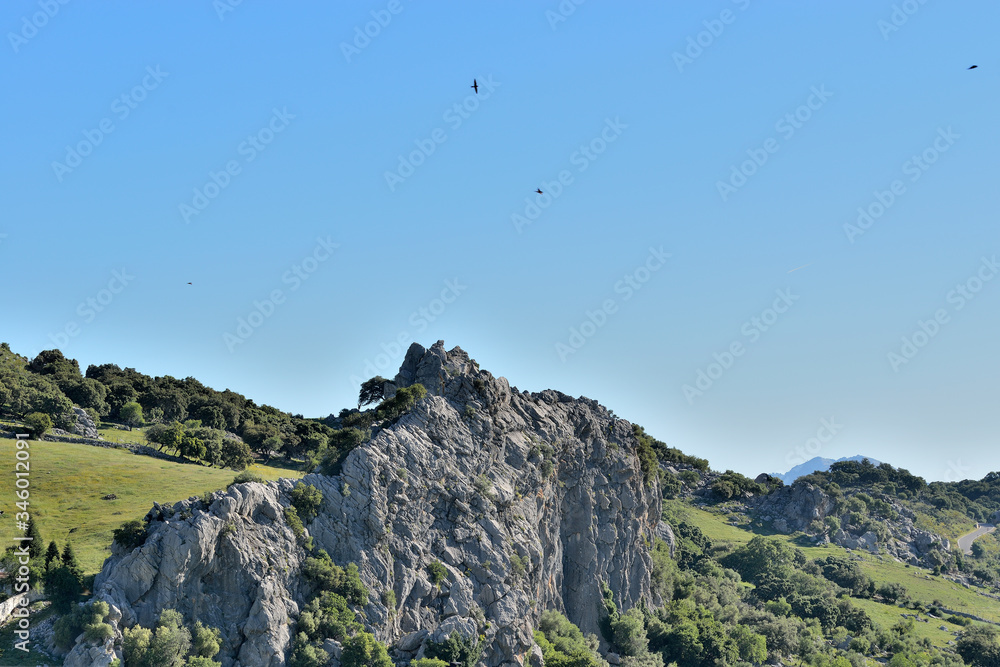 paisaje de montaña rocosas con rapaces en el cielo Grazalema Andalucía España paisaje de montaña rocosas con rapaces en el cielo Grazalema Andalucía España